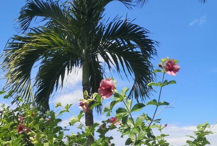 flowers and palm