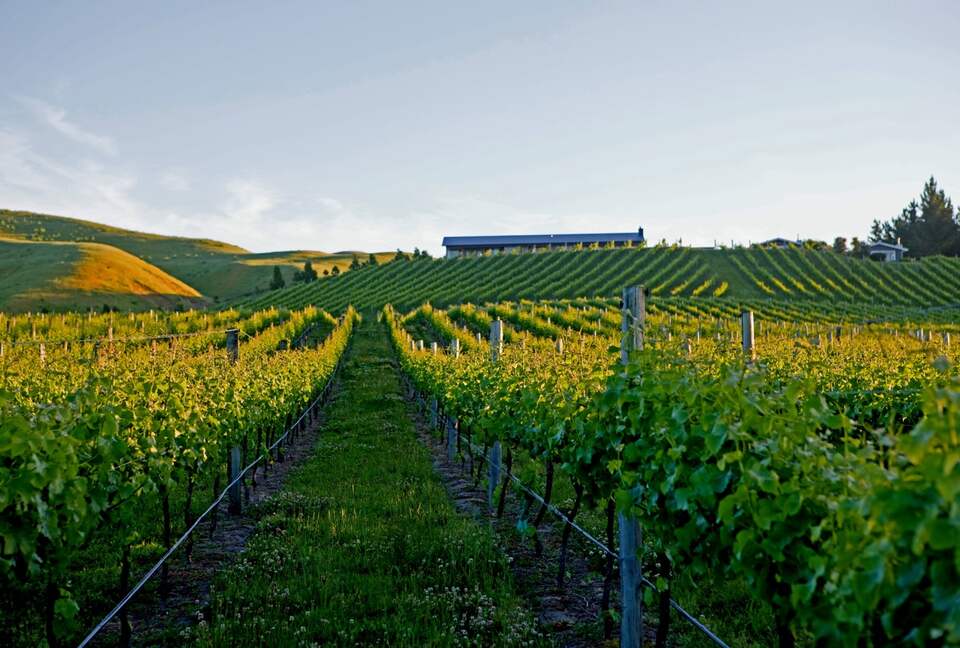 Tukituki River Valley Cottage - Havelock, New Zealand