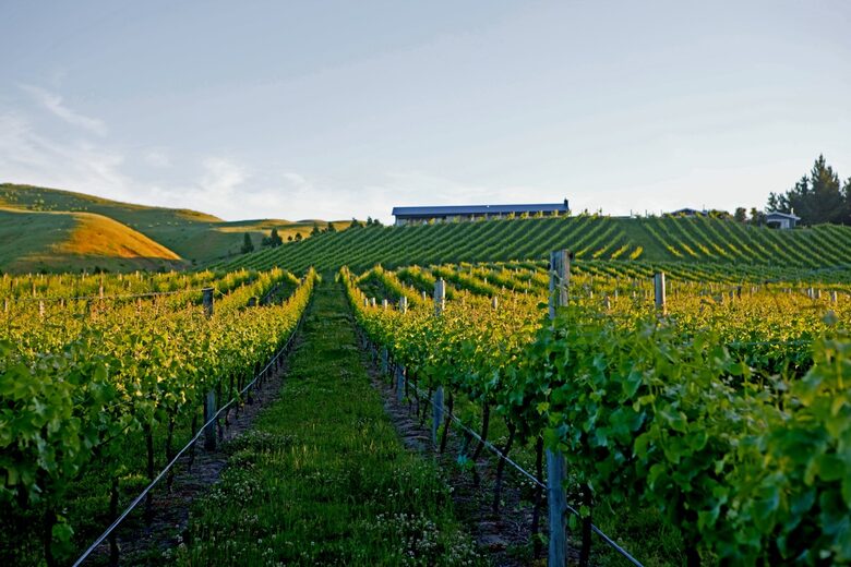 Tukituki River Valley Cottage - Havelock, New Zealand