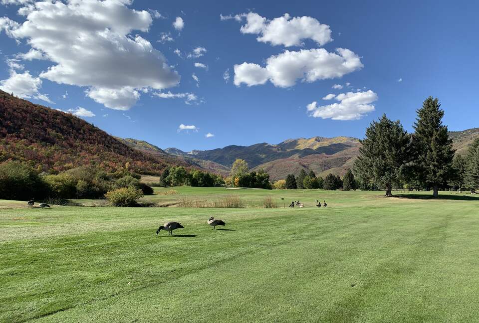 Wasatch Mountain Lake course