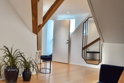 Copenhagen penthouse w/ private roof terrace - Copenhagen, Denmark