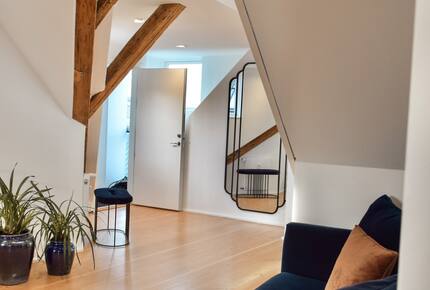 Copenhagen penthouse w/ private roof terrace - Copenhagen, Denmark