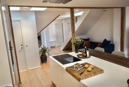 Copenhagen penthouse w/ private roof terrace - Copenhagen, Denmark