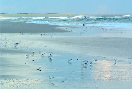 Barnegat Light Ocean Front Shore House - Barnegat Light, New Jersey