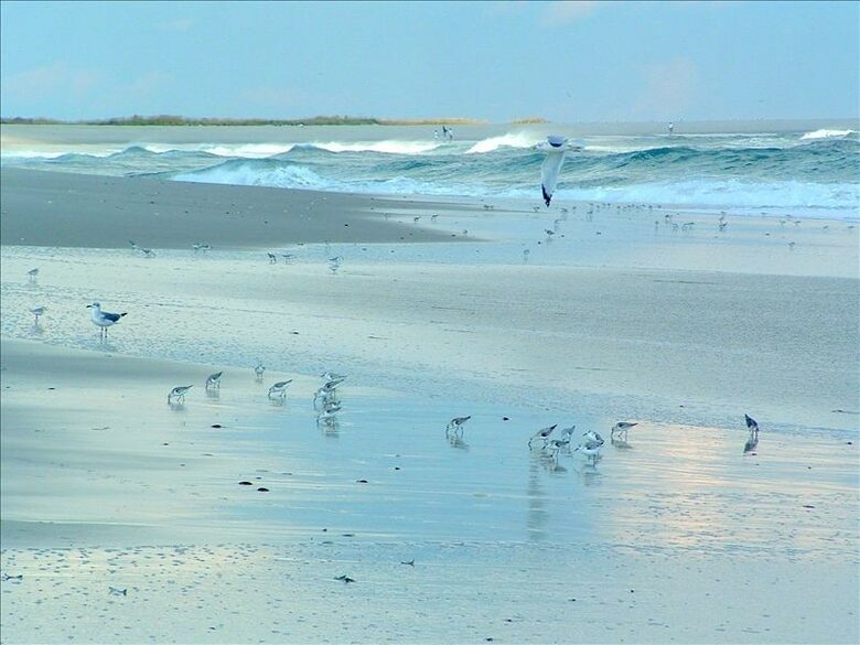 Barnegat Light Ocean Front Shore House - Barnegat Light, New Jersey
