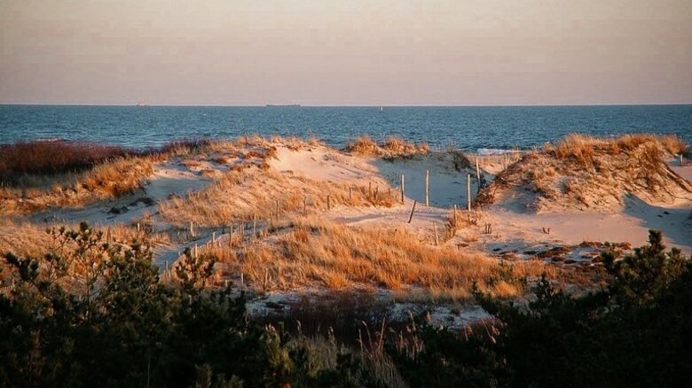 Barnegat Light Ocean Front Shore House - Barnegat Light, New Jersey