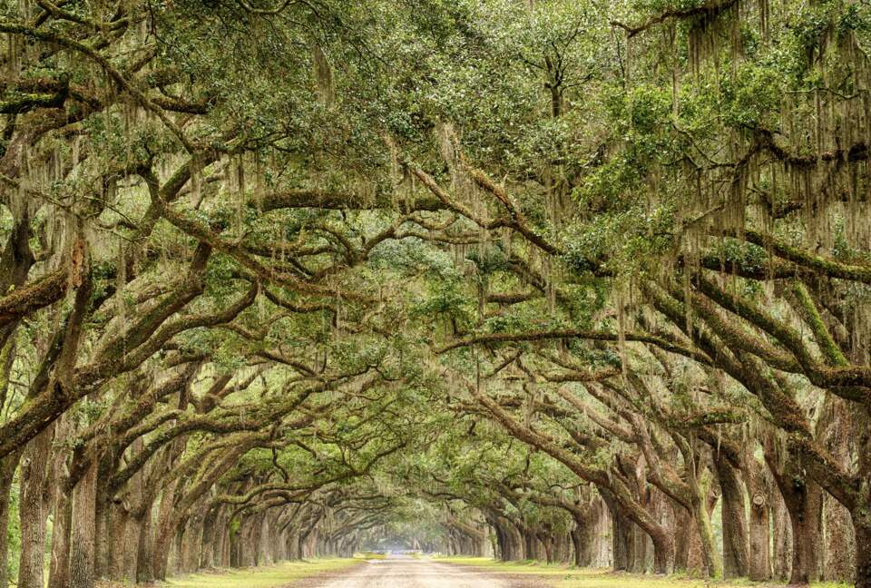 The Studio Homes at Ellis Square - Savannah, Georgia