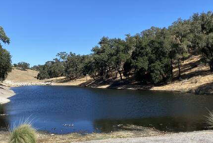 Paso de los Amigos - Templeton, California