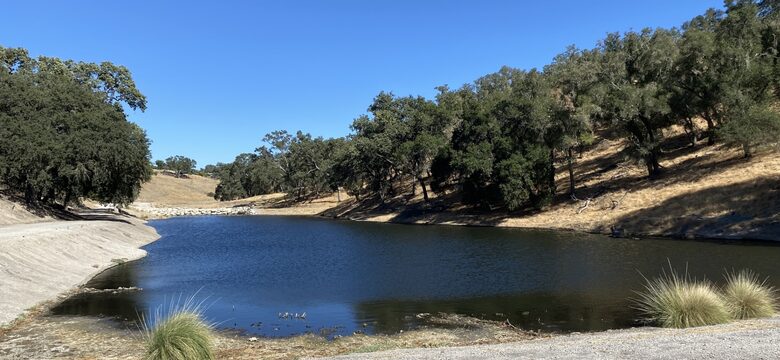 Paso de los Amigos - Templeton, California