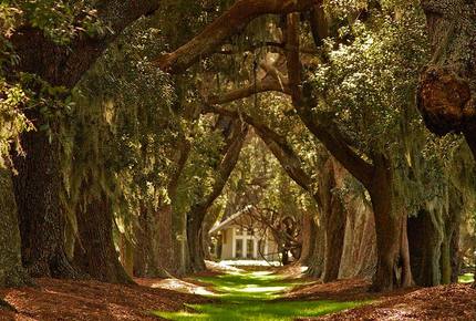 Chic Cottage by the Sea - Sea Island, Georgia