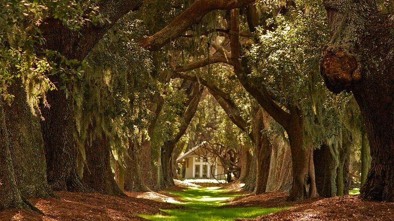 Chic Cottage by the Sea - Sea Island, Georgia