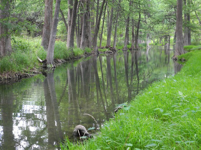 Texas Hill Country Ranch + Cypress Creek Swimming - Wimberley, Texas
