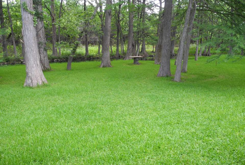 Texas Hill Country Ranch + Cypress Creek Swimming - Wimberley, Texas