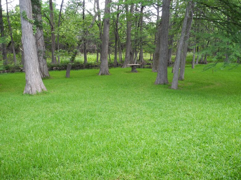 Texas Hill Country Ranch + Cypress Creek Swimming - Wimberley, Texas