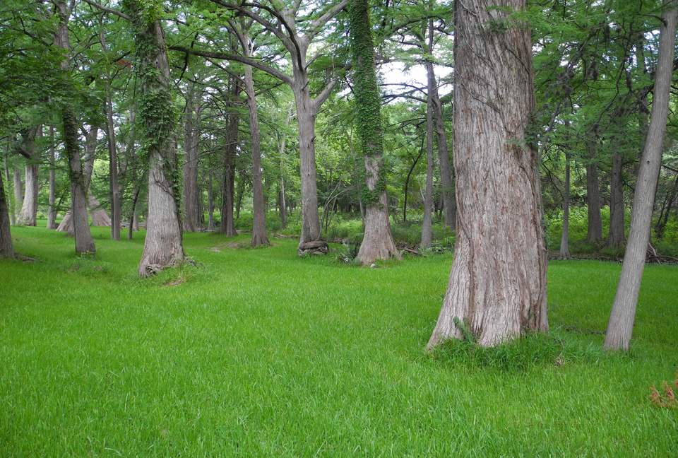 Texas Hill Country Ranch + Cypress Creek Swimming - Wimberley, Texas