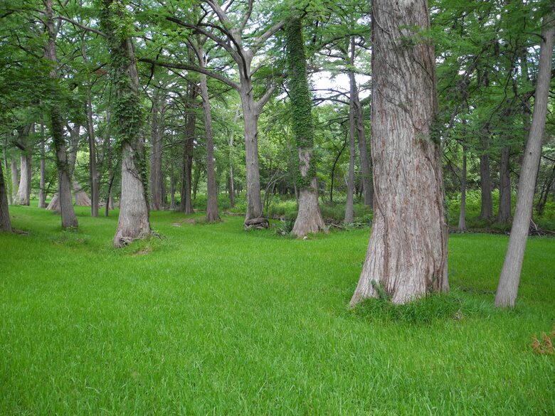 Texas Hill Country Ranch + Cypress Creek Swimming - Wimberley, Texas
