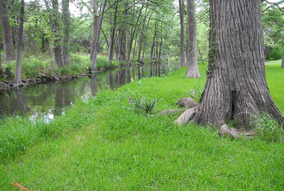 Texas Hill Country Ranch + Cypress Creek Swimming - Wimberley, Texas