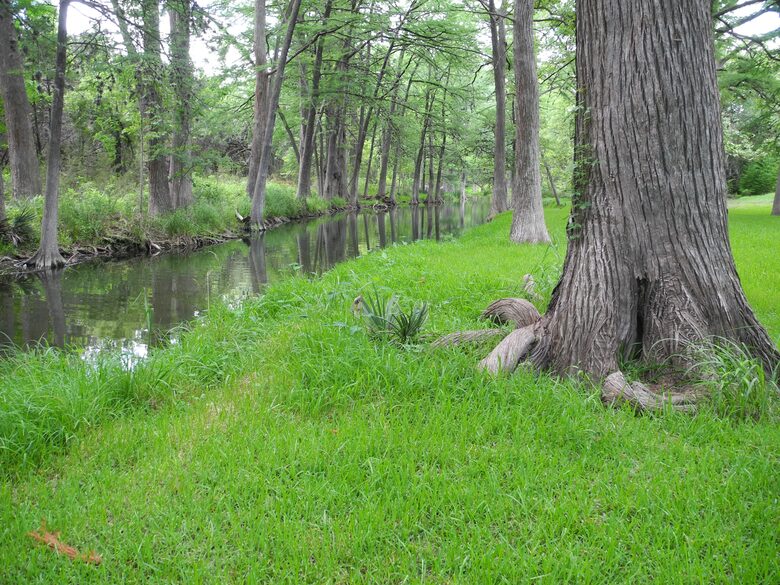 Texas Hill Country Ranch + Cypress Creek Swimming - Wimberley, Texas