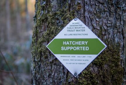 Beech Mountain Resort and Ski Village Getaway - Beech Mountain, North Carolina