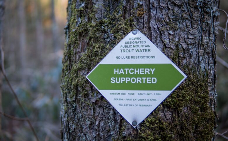 Beech Mountain Resort and Ski Village Getaway - Beech Mountain, North Carolina