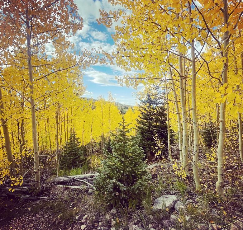 Black Diamond Ski-In/Ski-Out Family Retreat - Brian Head, Utah