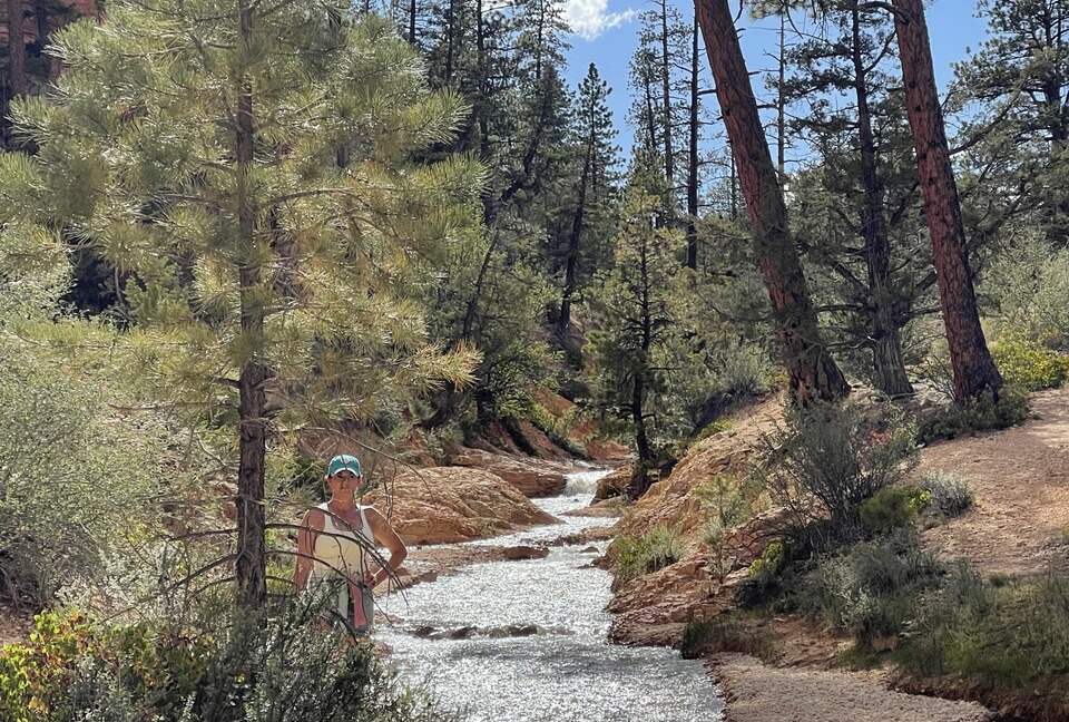 Black Diamond Ski-In/Ski-Out Family Retreat - Brian Head, Utah