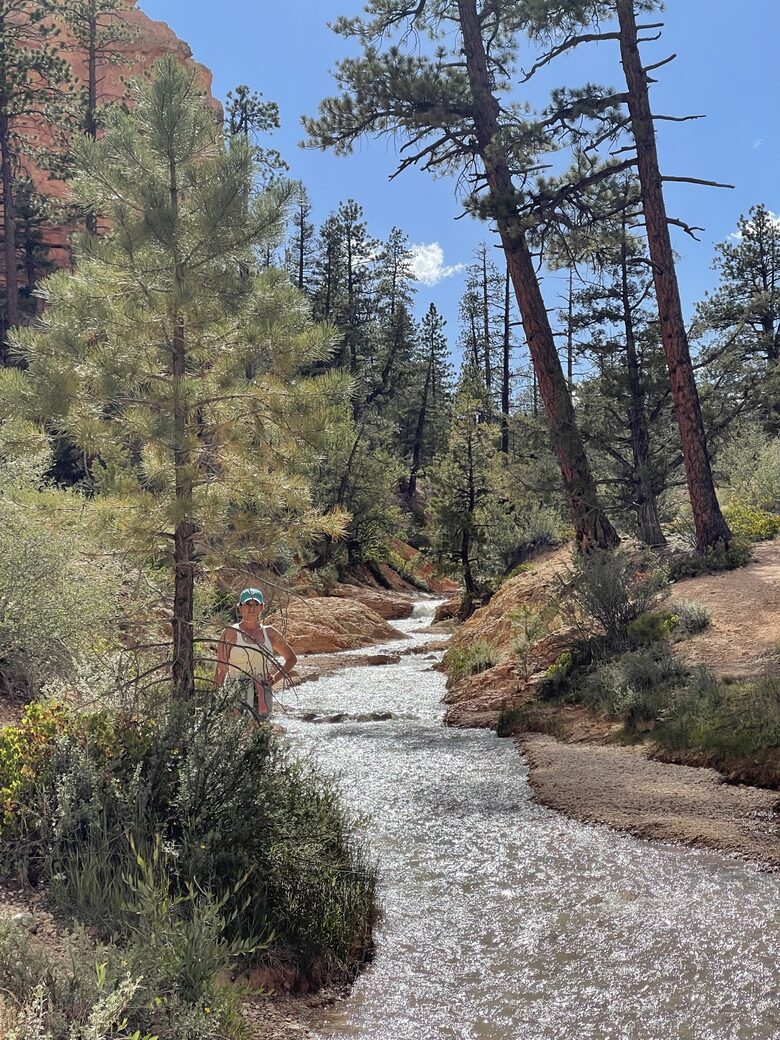 Black Diamond Ski-In/Ski-Out Family Retreat - Brian Head, Utah