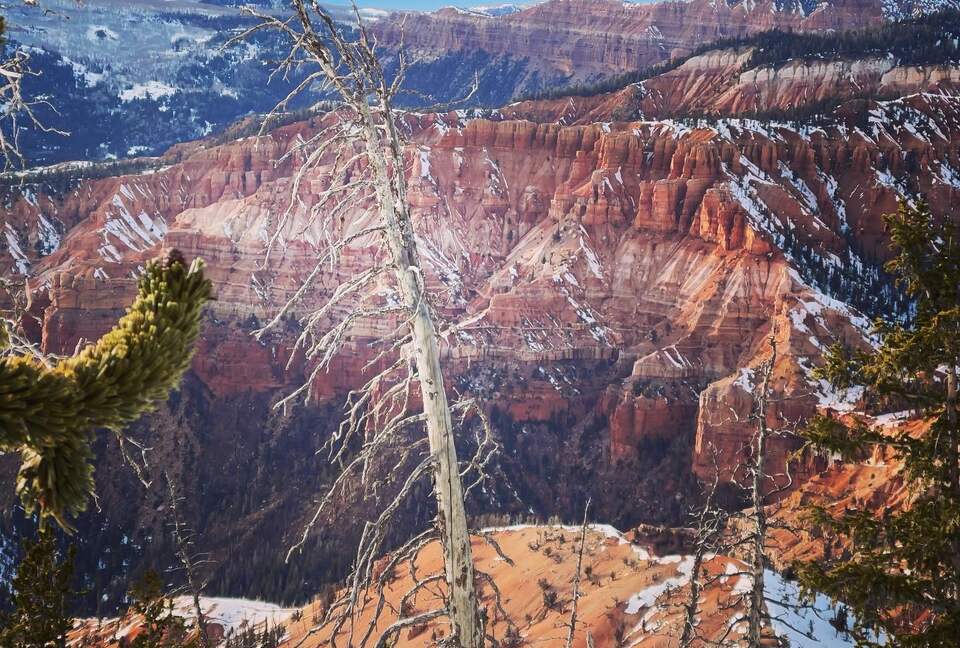 Black Diamond Ski-In/Ski-Out Family Retreat - Brian Head, Utah