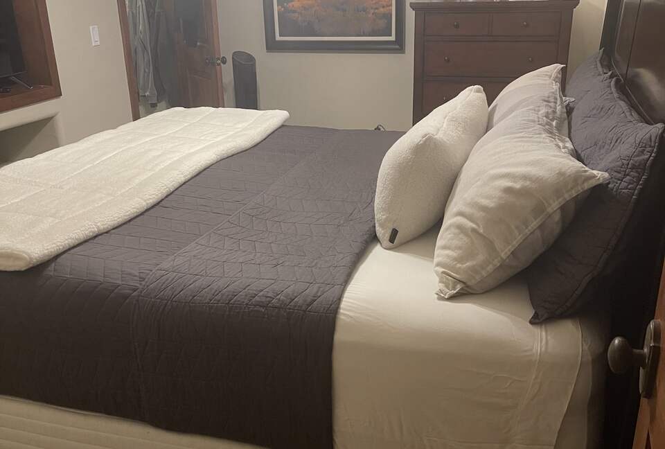 Black Diamond Ski-In/Ski-Out Family Retreat - Brian Head, Utah