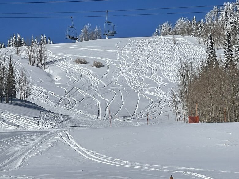 Black Diamond Ski-In/Ski-Out Family Retreat - Brian Head, Utah