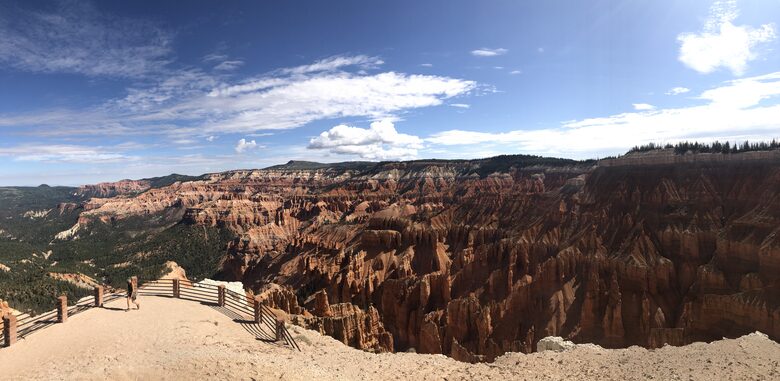 Black Diamond Ski-In/Ski-Out Family Retreat - Brian Head, Utah