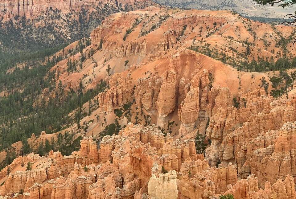 Black Diamond Ski-In/Ski-Out Family Retreat - Brian Head, Utah