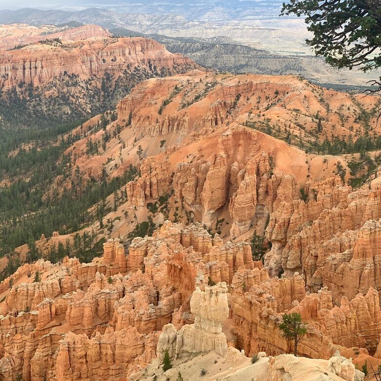 Black Diamond Ski-In/Ski-Out Family Retreat - Brian Head, Utah
