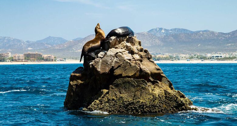 Villa La Valencia | Four Bedroom Penthouse Oceanfront - San José del Cabo, Mexico