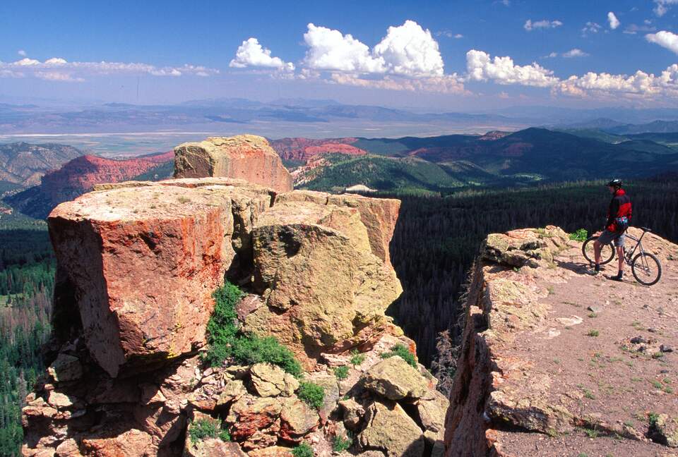 Black Diamond Ski-In/Ski-Out Family Retreat - Brian Head, Utah