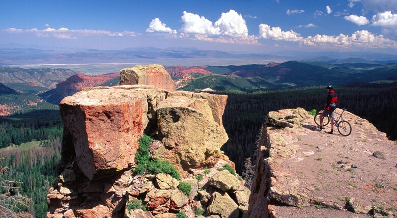 Black Diamond Ski-In/Ski-Out Family Retreat - Brian Head, Utah