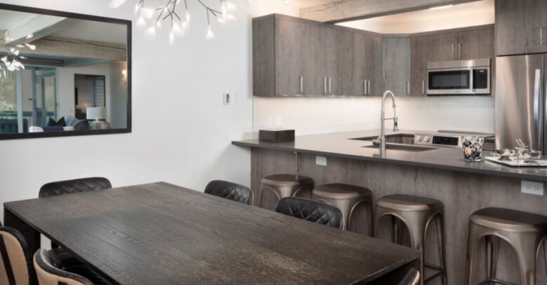 Beautiful Ski-In/Ski-Out Snowmass Village Condo - Snowmass Village, Colorado