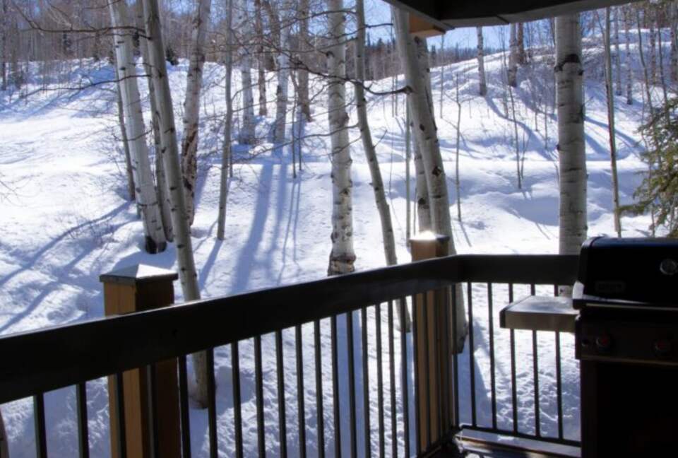 Beautiful Ski-In/Ski-Out Snowmass Village Condo - Snowmass Village, Colorado