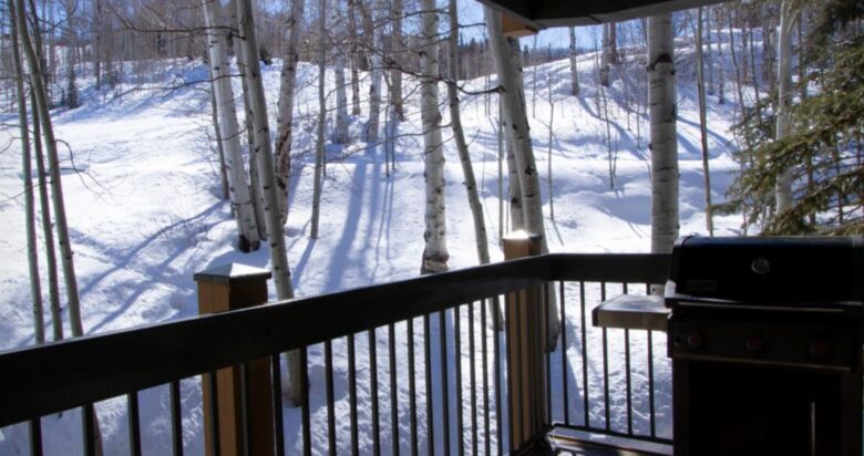 Beautiful Ski-In/Ski-Out Snowmass Village Condo - Snowmass Village, Colorado