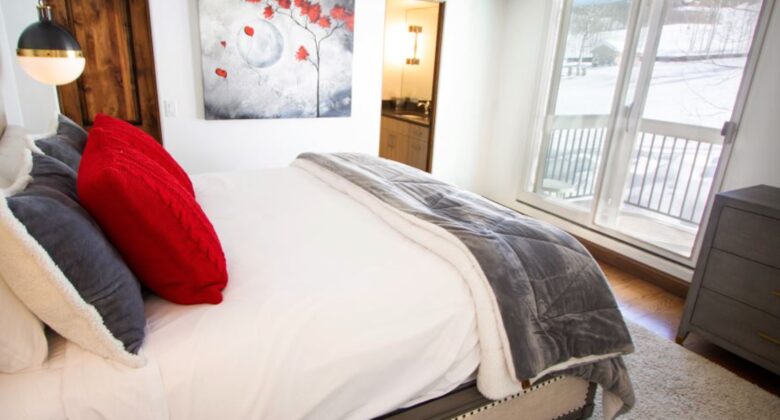 Beautiful Ski-In/Ski-Out Snowmass Village Condo - Snowmass Village, Colorado