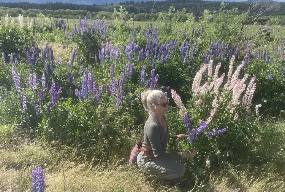 Ranch House on 880-acre Ranch in Argentine Lake District - Villa Lago Rivadavia, Argentina