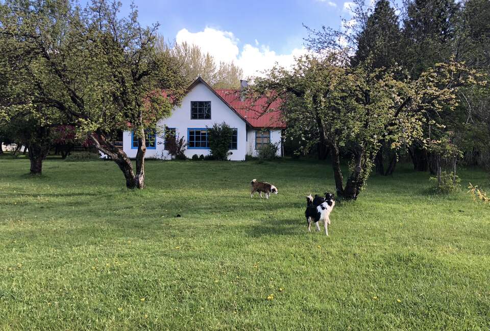Ranch House on 880-acre Ranch in Argentine Lake District - Villa Lago Rivadavia, Argentina