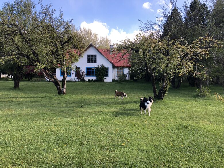 Ranch House on 880-acre Ranch in Argentine Lake District - Villa Lago Rivadavia, Argentina