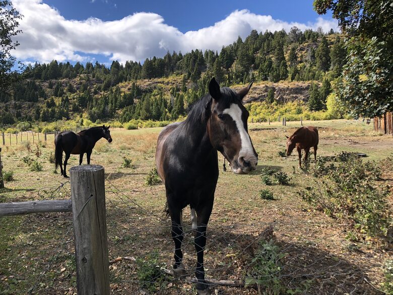 Ranch House on 880-acre Ranch in Argentine Lake District - Villa Lago Rivadavia, Argentina