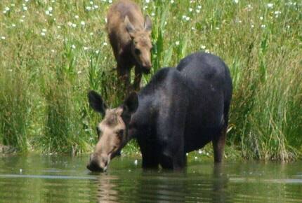 Deer Valley Powder Run | Walk to Ski Lifts and Children's Center - Park City, Utah