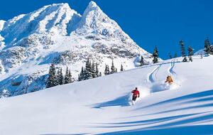 Wild Rose - Silverthorne, Colorado