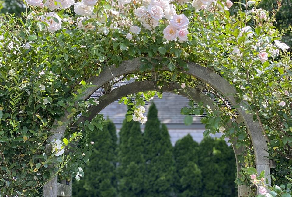 Stunning Nantucket Town Modern Bungalow - Nantucket, Massachusetts
