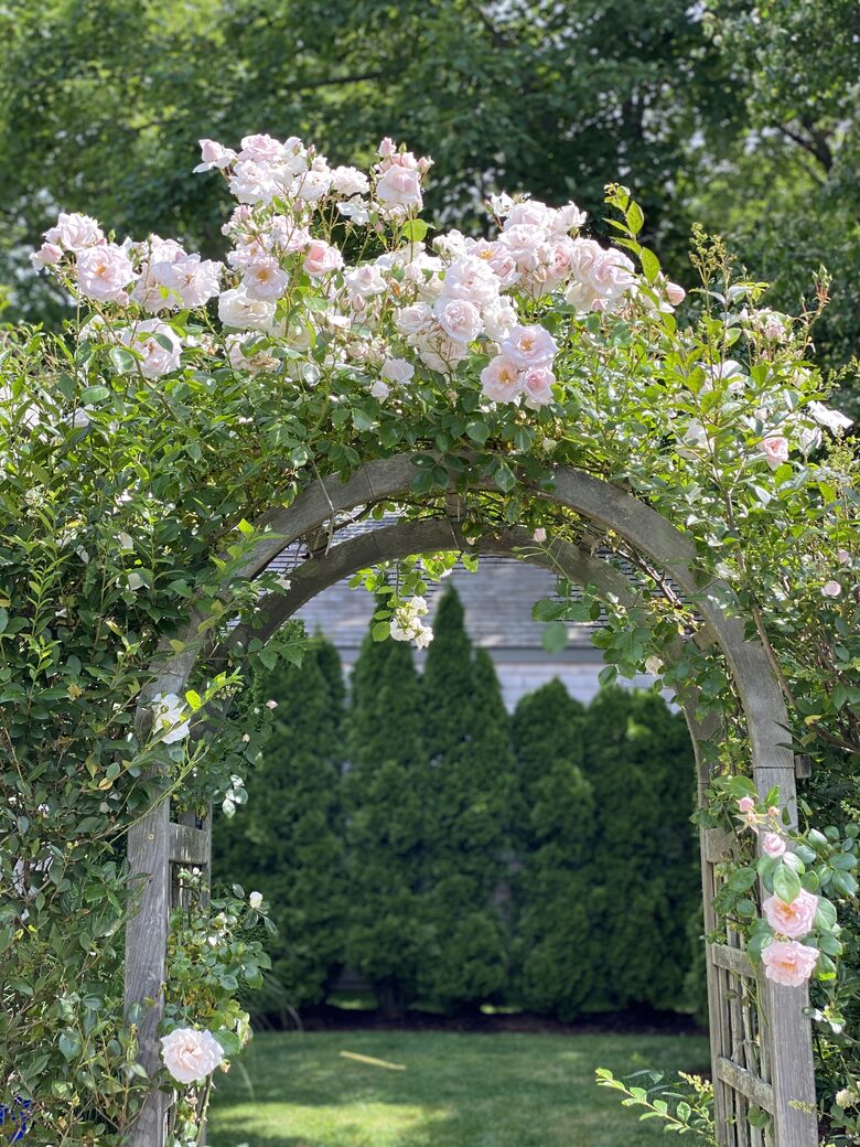 Stunning Nantucket Town Modern Bungalow - Nantucket, Massachusetts