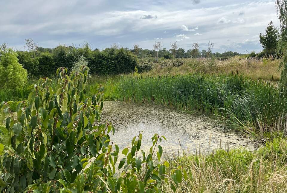 Stone Barns - Blaxhall, United Kingdom