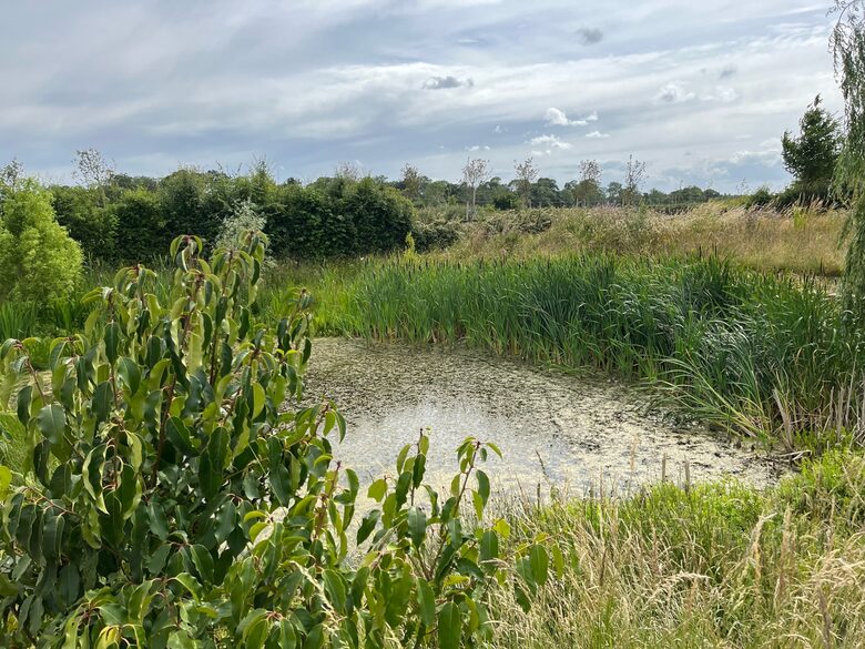 Stone Barns - Blaxhall, United Kingdom